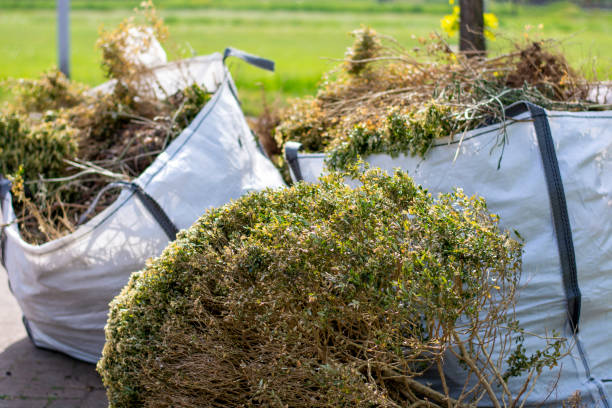 Best Commercial Junk Removal  in Holiday City Berkeley, NJ